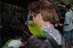 0119 Cairns Tropical Zoo